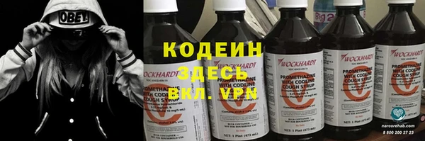 шишки Богородск