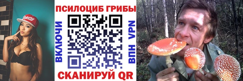 наркота  Дальнереченск  Псилоцибиновые грибы Magic Shrooms 